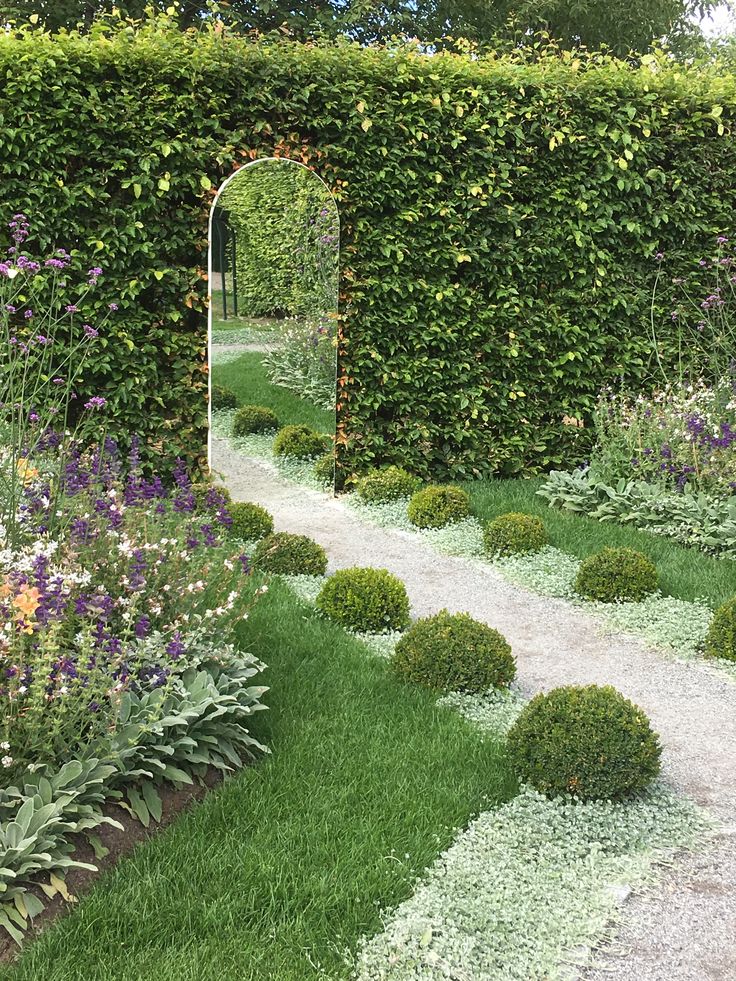 a garden with green hedges and purple flowers