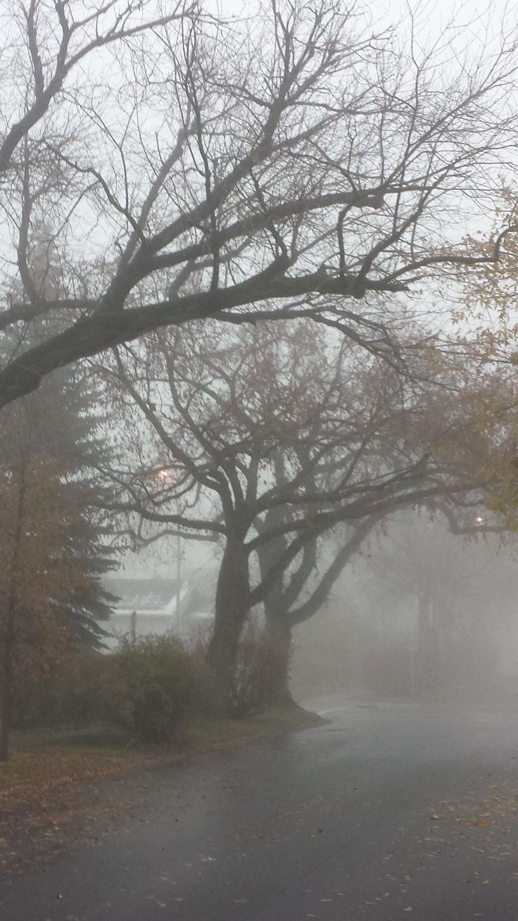 an empty street in the fog with trees on both sides and one person walking down the road