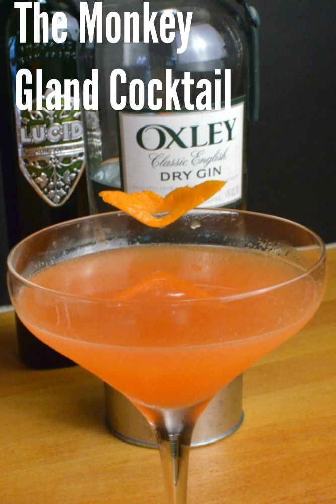 an orange drink in a martini glass with the words, the monkey glaad cocktail