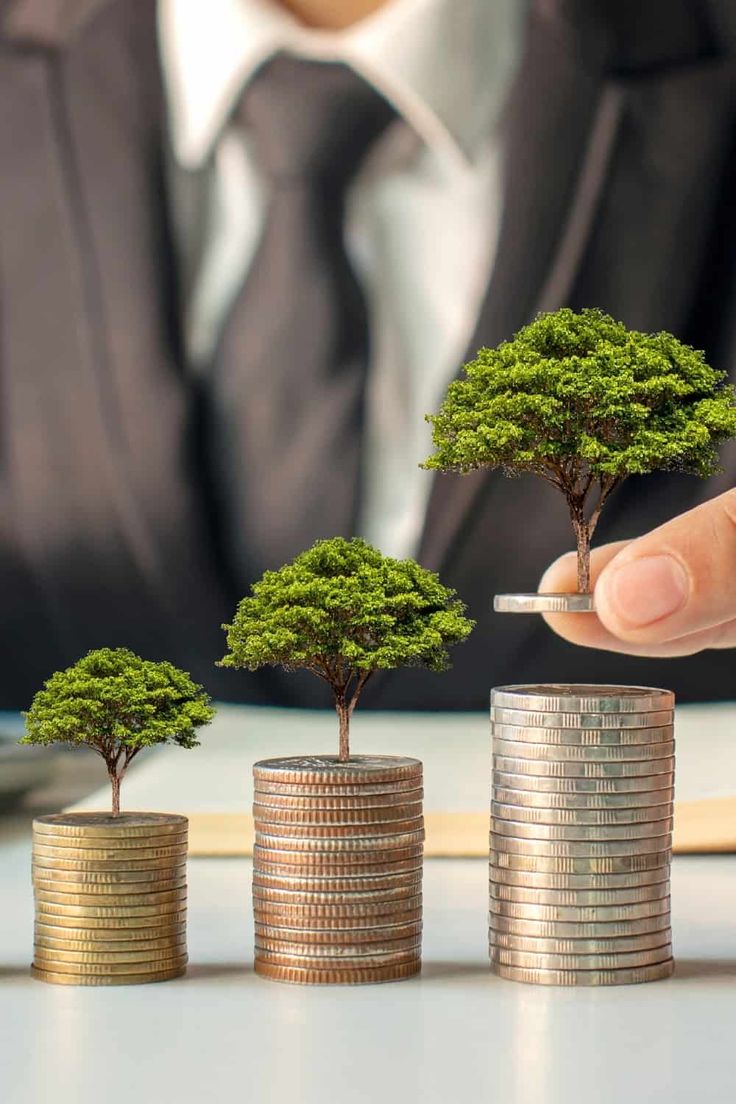 Business And Investment, Charles Schwab Investing, How To Invest, Investing Aesthetic, Green Investment, Carbon Credit, Saving Pictures, Investment Money, Business Images