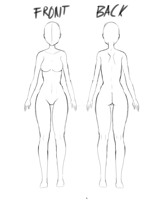 the front and back view of a woman's body, drawn in black ink