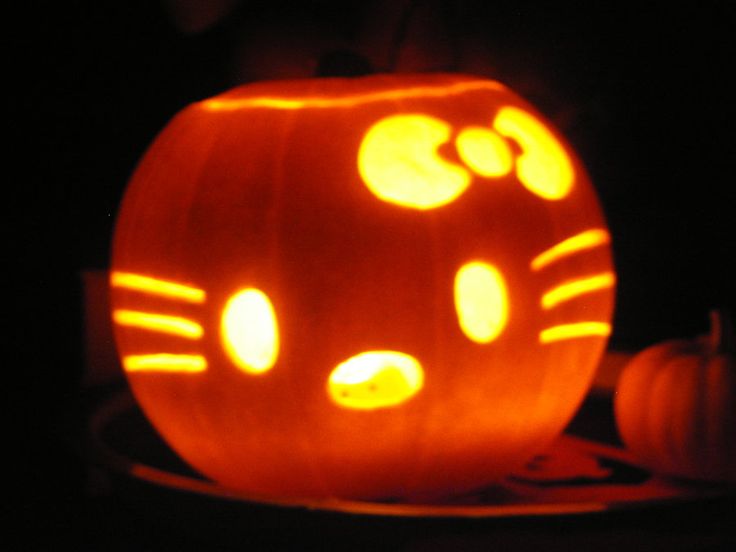 a cat pumpkin carved to look like it has eyes