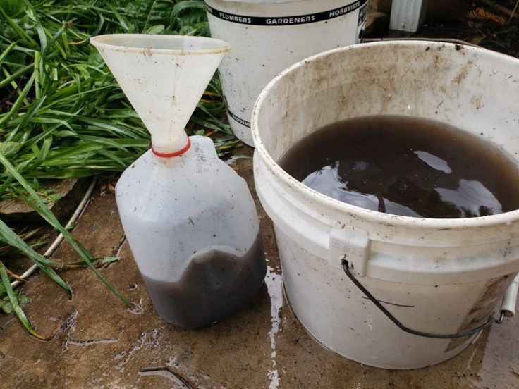 two buckets filled with brown liquid sitting on top of a dirt ground next to grass