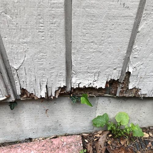 a small plant is growing out of the corner of a house's sidings