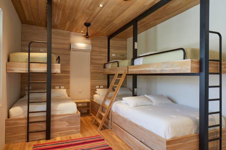 bunk beds in a room with wooden walls and wood flooring, along with a rug on the floor