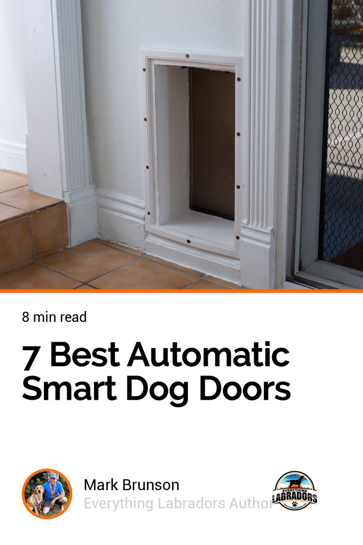 7 Best Automatic Smart Dog Doors Dog Door Through Wall, Microchip Dog Door, Custom Pet Door, Large Doggie Door Ideas, Modern Dog Door, Doors With Doggie Doors Built Ins, Dog Doors Ideas, French Doors With Doggie Door, Doggie Door Ideas In Wall