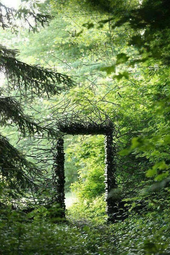 an open doorway in the middle of a forest