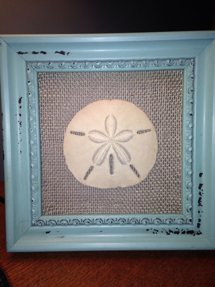 a blue frame with a white sand dollar symbol in the center on a wooden table