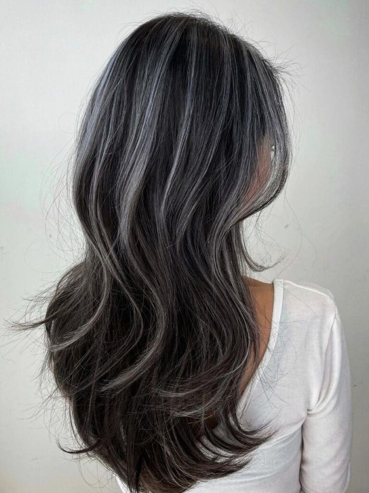 Black Hair Highlights Ideas, Black Hair Highlights, Hair Highlights Ideas, Gray Highlights, Silver Hair Highlights, Dark Grey Hair, Highlights Ideas, Black Hair Balayage, Hair With Highlights