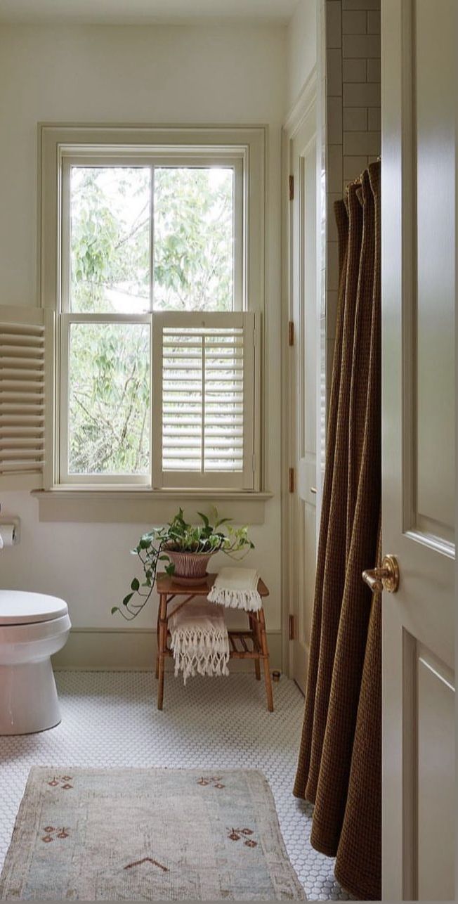 a bathroom with a toilet, window and rug on the floor in front of it