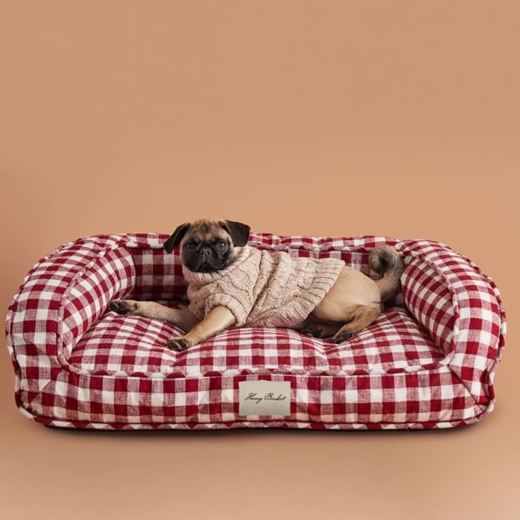 a small dog is laying in a red and white checkered bed on a tan background