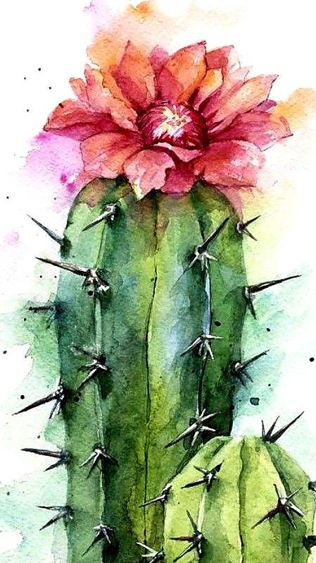 a watercolor painting of a cactus with a flower on it's back end