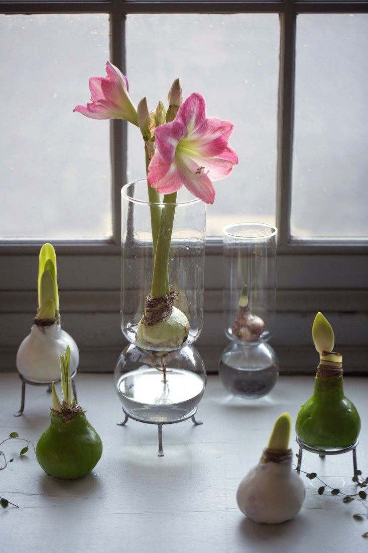 three glass vases with flowers in them on a table