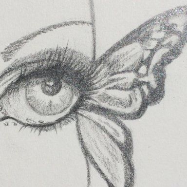 a pencil drawing of a butterfly's eye