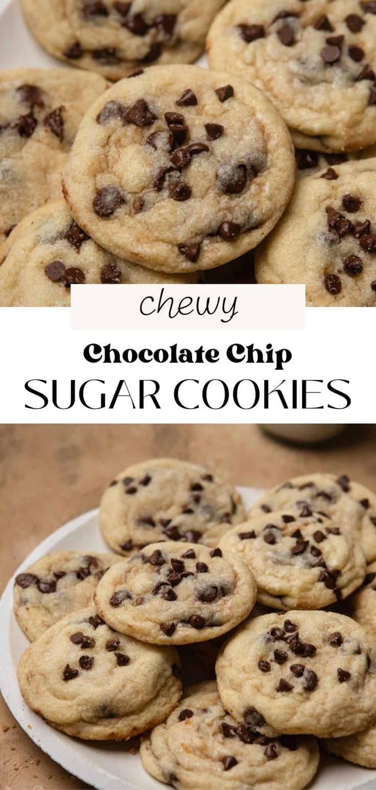 chocolate chip sugar cookies on a white plate