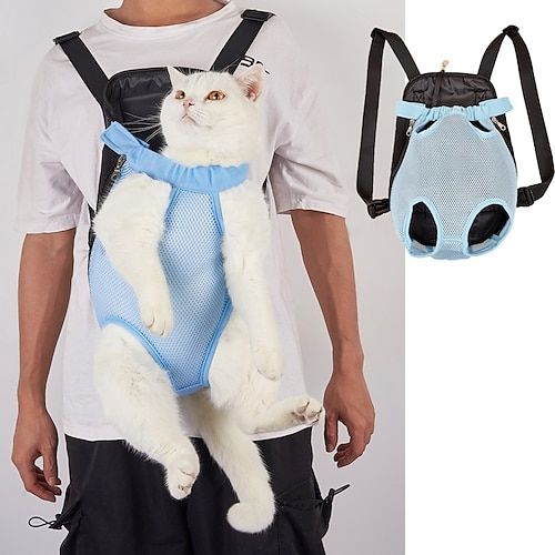 a white cat with a blue harness on it's back is standing next to a man