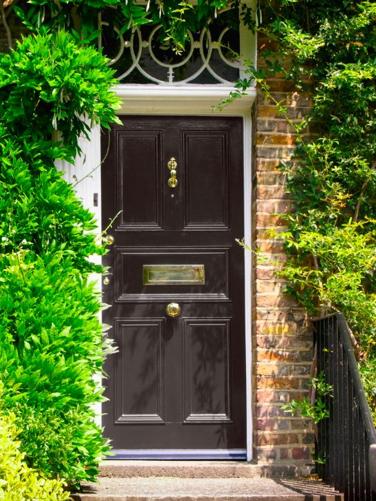 a black front door surrounded by greenery