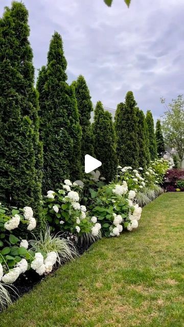 white flowers line the side of a row of trees in front of a green lawn