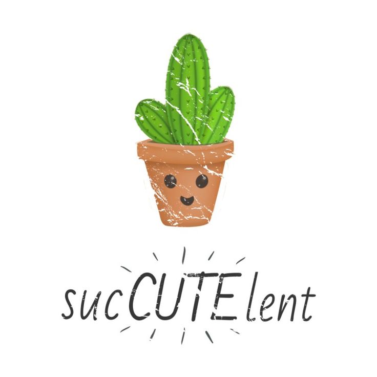 a cactus in a pot with the words succutent