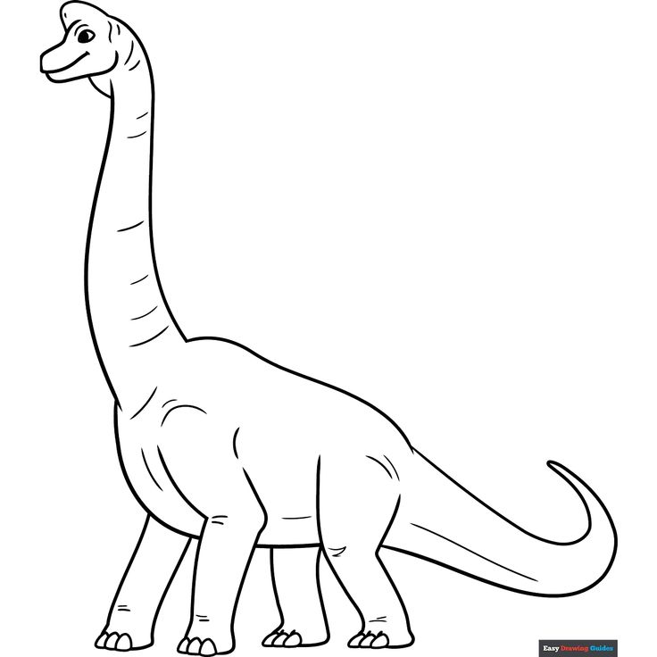 Free Brachiosaurus Coloring Page for Kids Brachiosaurus Drawing, Dinosaur Brachiosaurus, Dinosaur Outline, Dinosaur Classroom, Easy Drawing Guides, Free Printable Coloring Sheets, Drawing Guides, Dinosaur Drawing, Dinosaur Coloring Pages