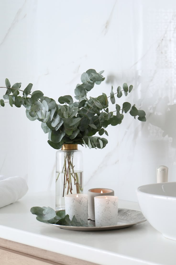 Preserved Spiral Eucalyptus in a clear vase for bathroom decor Bathroom Decor With Plants, Bathroom Plants No Sunlight, Spiral Eucalyptus, Decor With Plants, Bathroom Plants Decor, Best Bathroom Plants, Bathroom Flowers, Bathroom Counter Decor, Bathroom Sink Decor