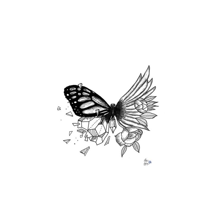 a black and white drawing of a butterfly with wings spread over it's body