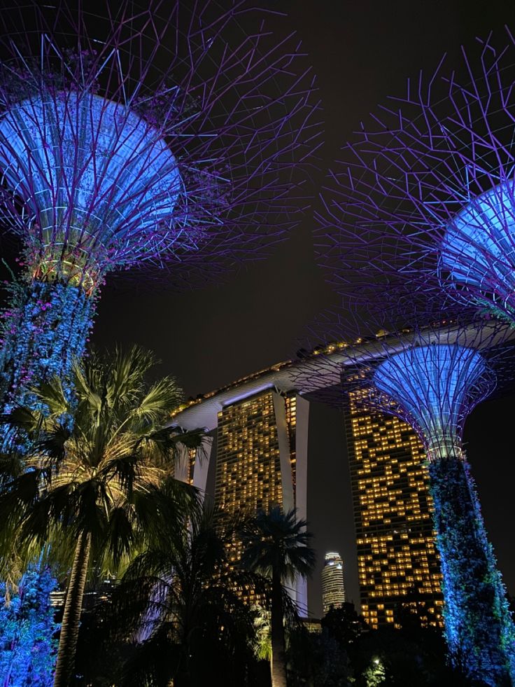 the gardens by the bay at night are lit up with blue lights and palm trees