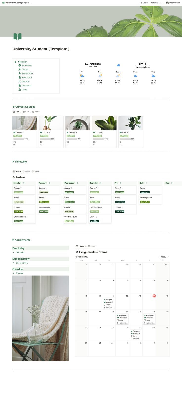 Green aesthetic Notion template for university college students. It is plant themed. University Notion, Study Planner Free, University Planner, Aesthetic Notion Template, Assignment Tracker, Life Planner Organization, Aesthetic Notion, Notion Planner, School Template