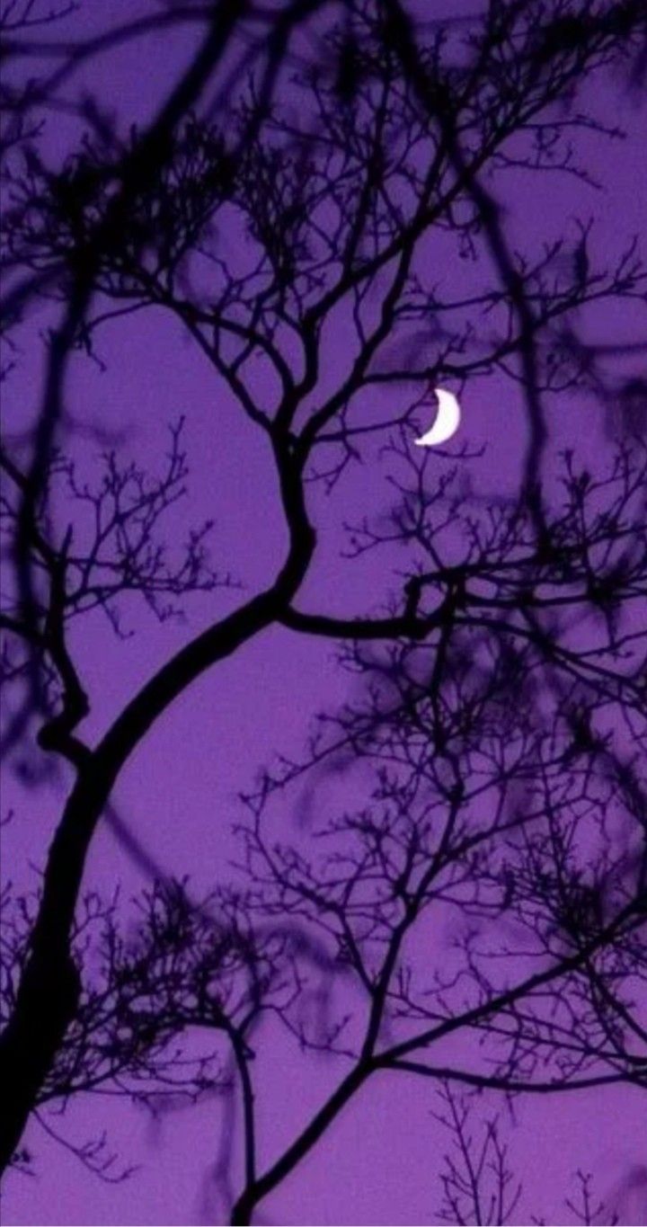 the moon is seen through the branches of a tree