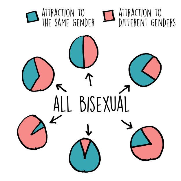 a diagram with different types of genders and the words, attraction to the same gender