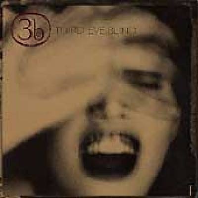 the cover art for third eye blind's album, which features an image of a screaming