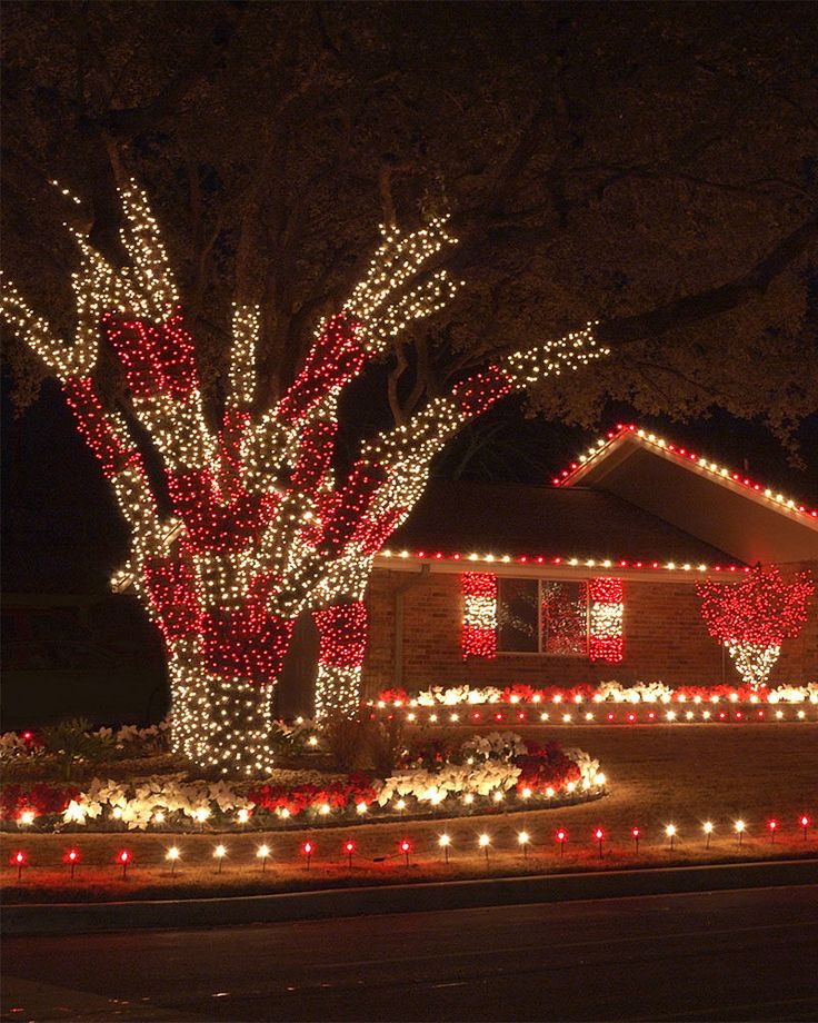 a house covered in christmas lights and trees