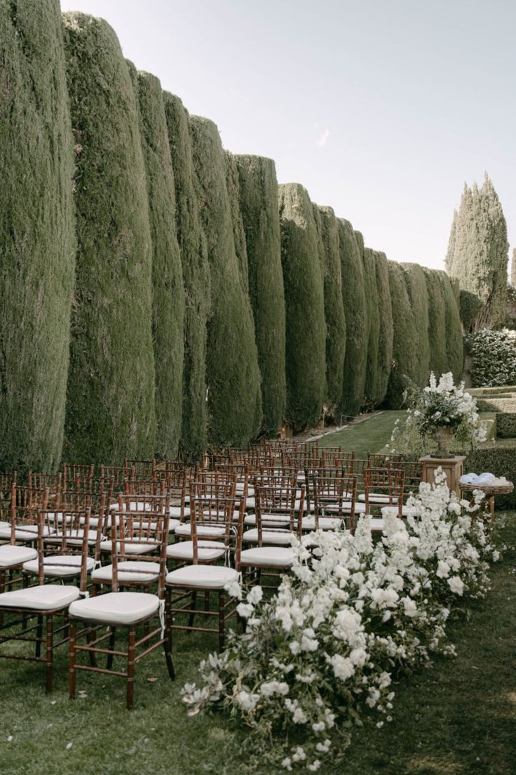 rows of chairs lined up next to each other in front of tall trees and flowers