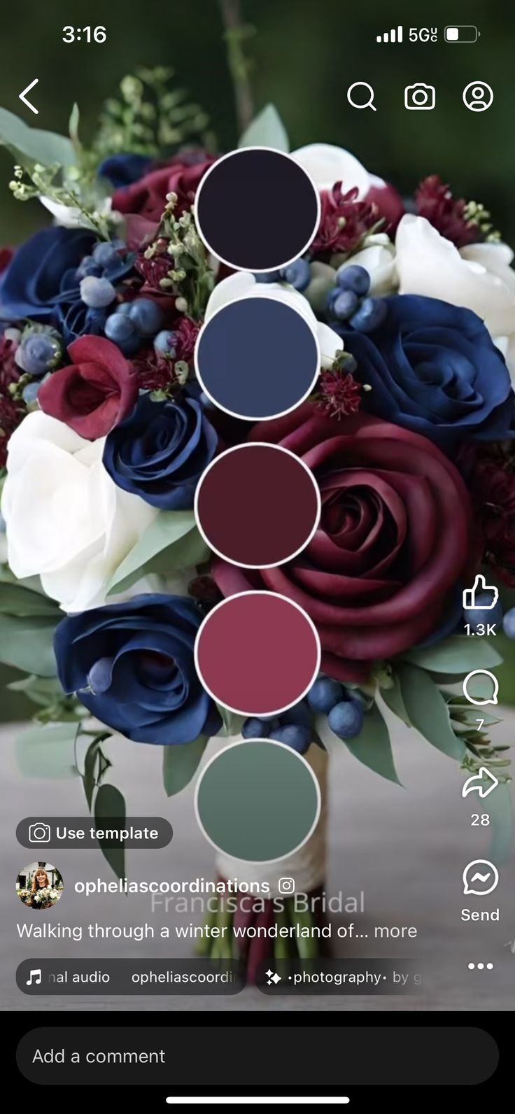 the color wheel on an iphone shows different shades of blue, red and white flowers