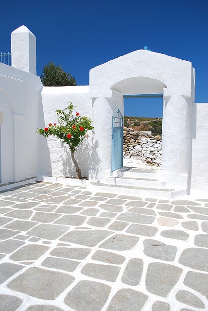 a white building with a blue door and flower pot on the outside wall, in front of it