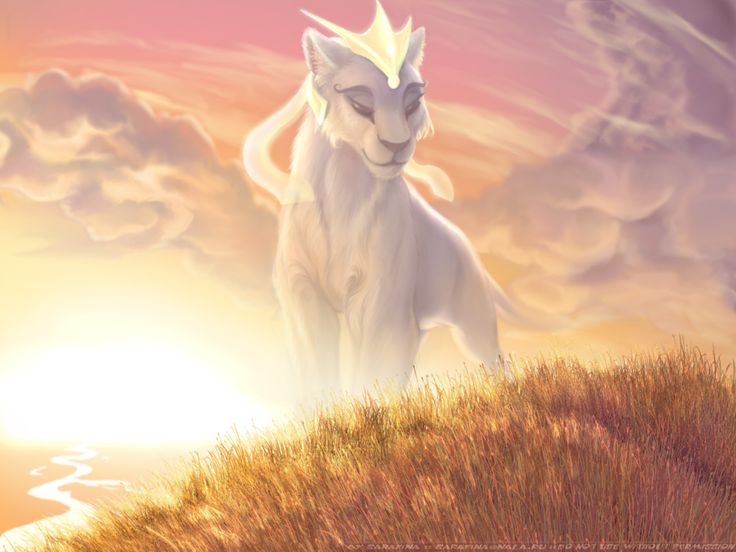 a white cat standing on top of a grass covered hill under a cloudy sky with the sun behind it