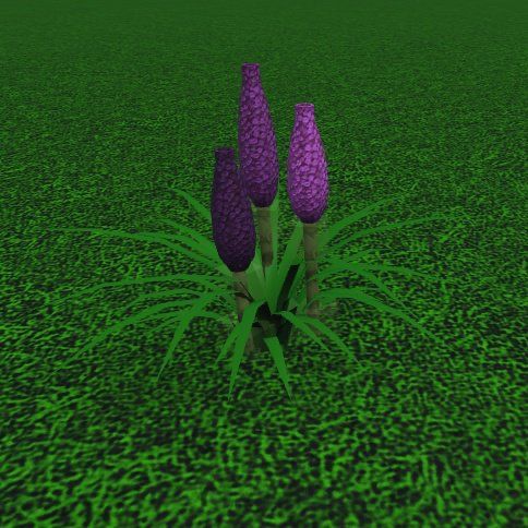 three purple flowers sitting in the middle of a green field