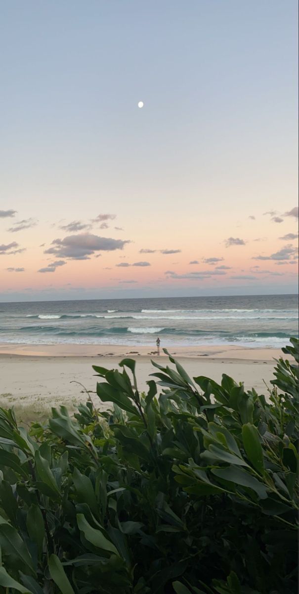 the sun is setting at the beach with people in the water and trees on the shore