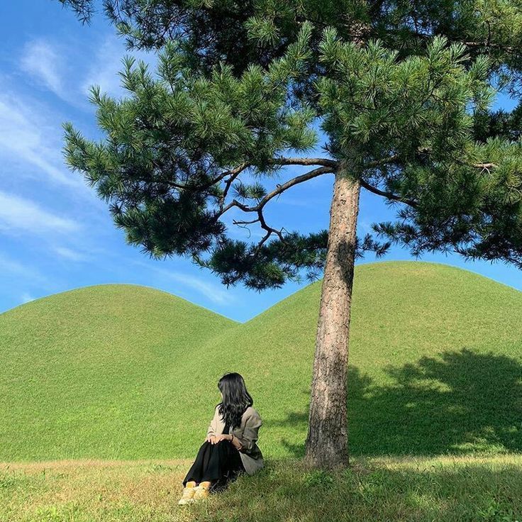 a woman sitting under a tree on top of a lush green hillside next to a tall pine tree