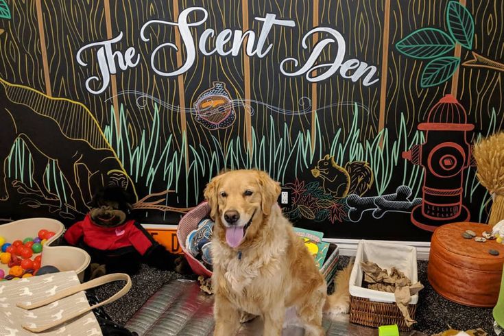 a dog sitting in front of a sign that says the scent den