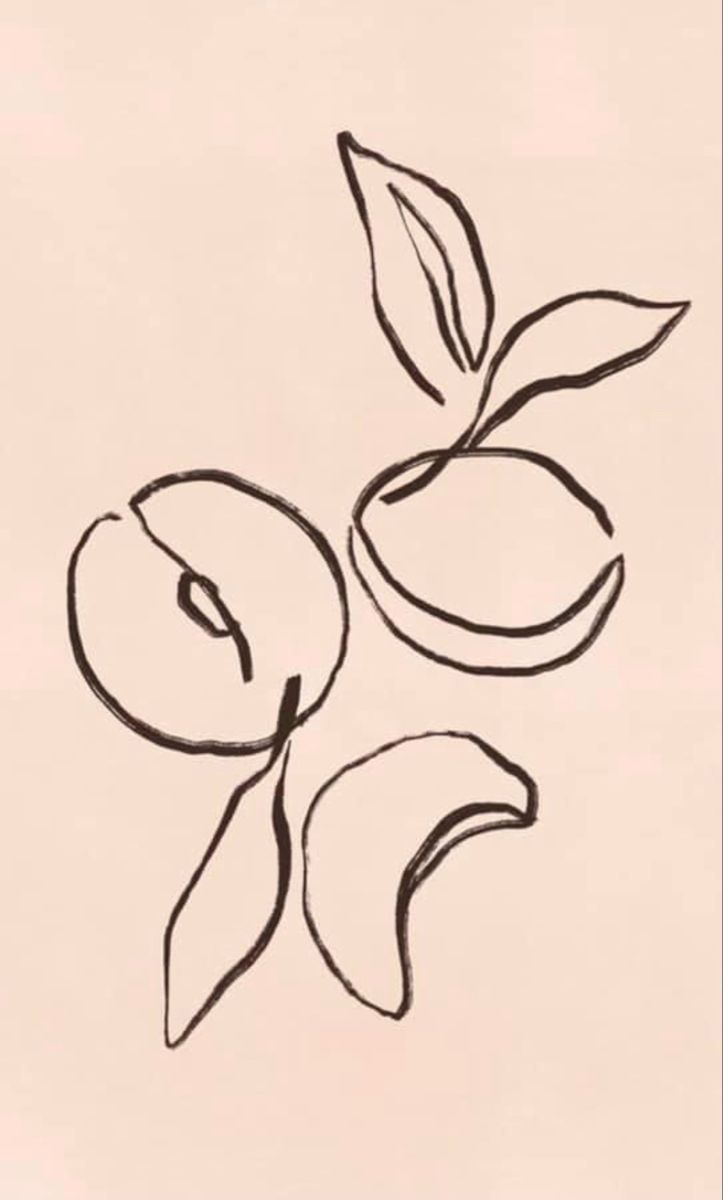 a drawing of two peaches with leaves