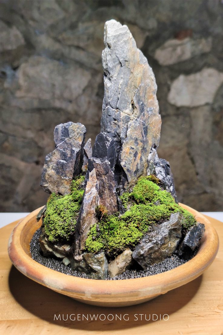 moss growing on rocks in a wooden bowl