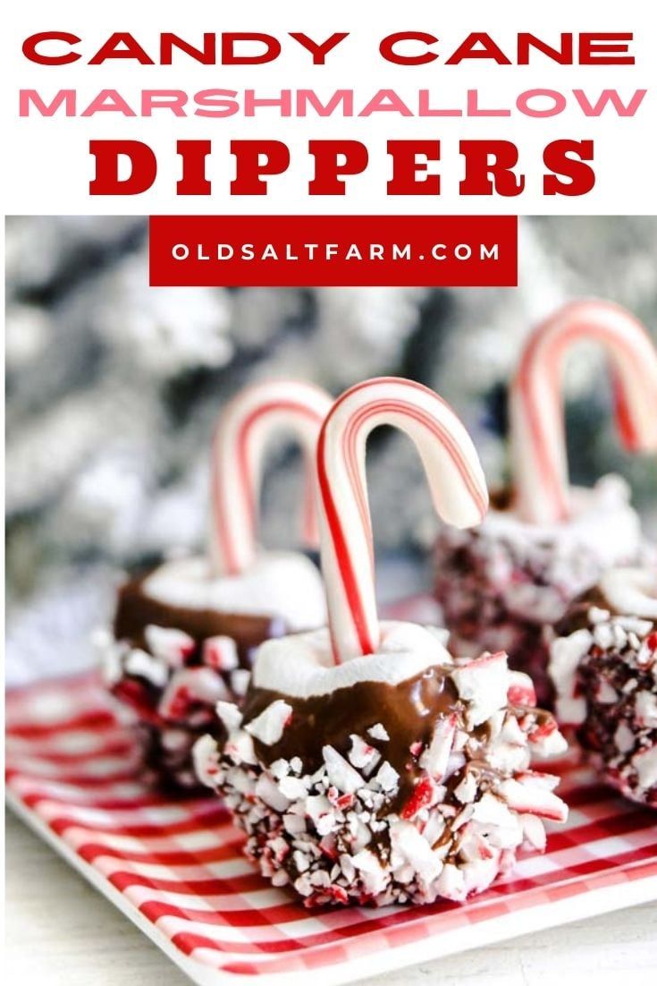 candy cane marshmallow dippers on a red and white plate with text overlay