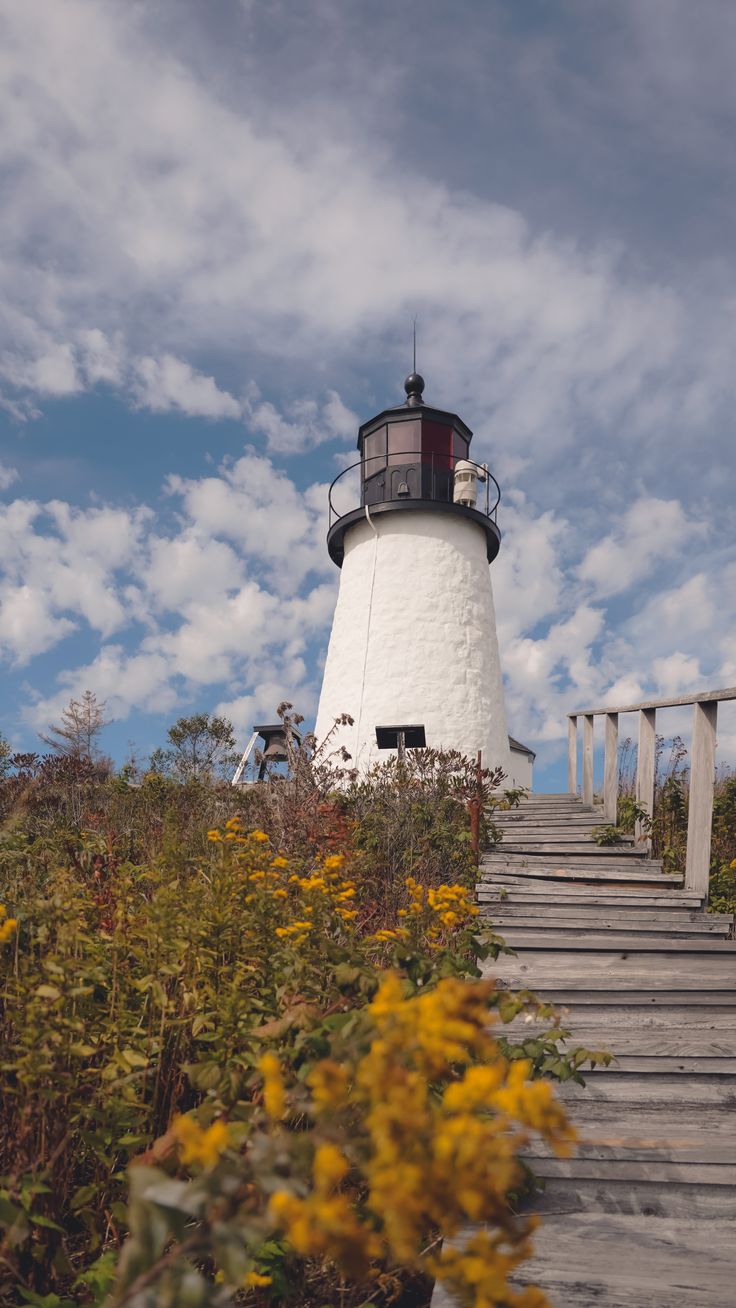 a white lighthouse sitting on top of a lush green hillside next to yellow wildflowers