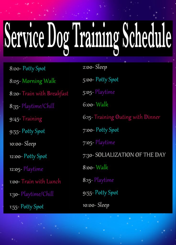 the service dog training schedule is displayed on a black background with purple and blue stars