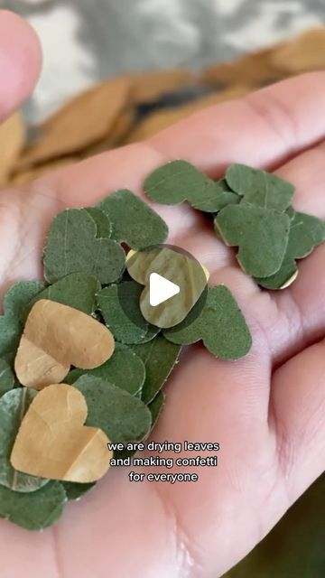 someone is holding some small green leaves in their hand