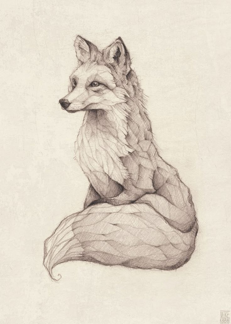 a pencil drawing of a fox sitting on top of a tree branch with its tail curled up