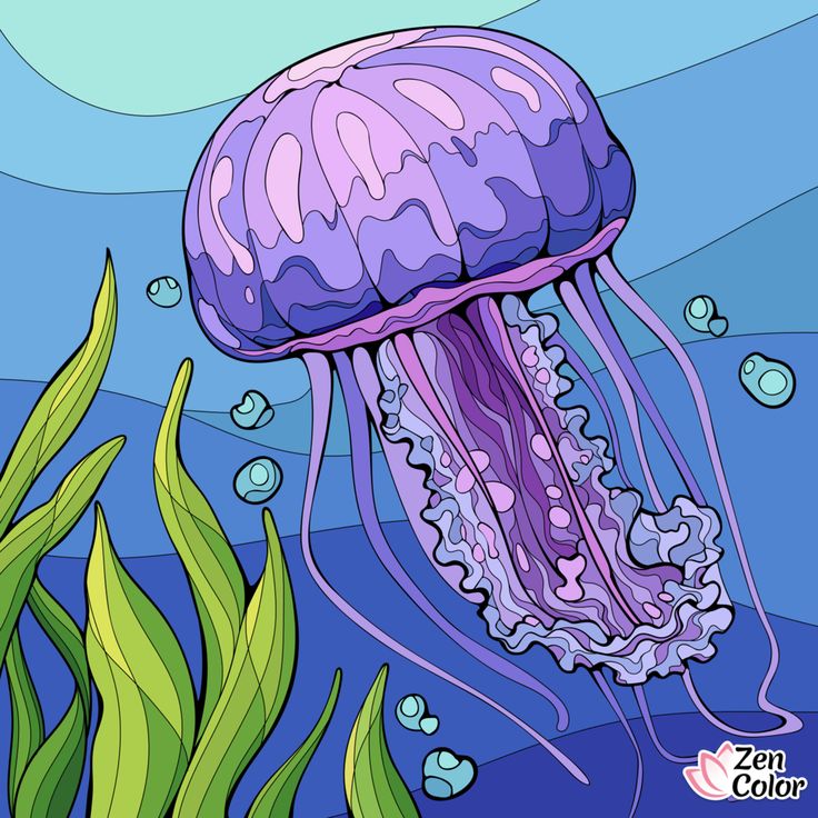 a purple jellyfish swimming in the ocean