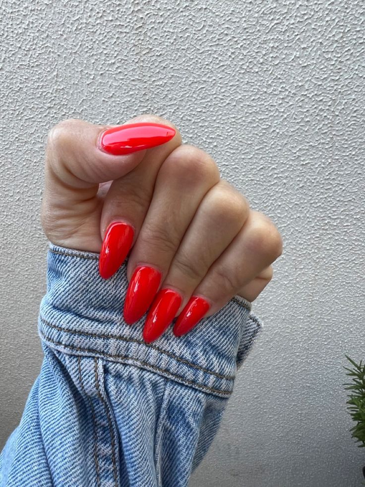 Vivid coral for spring ♥️ Coral Red Nails, Coral Red, Red Nails, Bright Colors, Coral, Nails, Red, Color