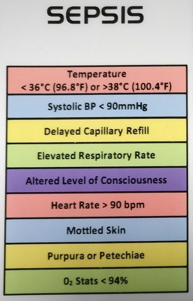 Sepsis Geriatric Nursing, Paramedic Student, Nerdy Nurse, Physician Assistant School, Nurse Skills, Nurse Notes, Paramedic School, Nursing Information, Nursing Cheat